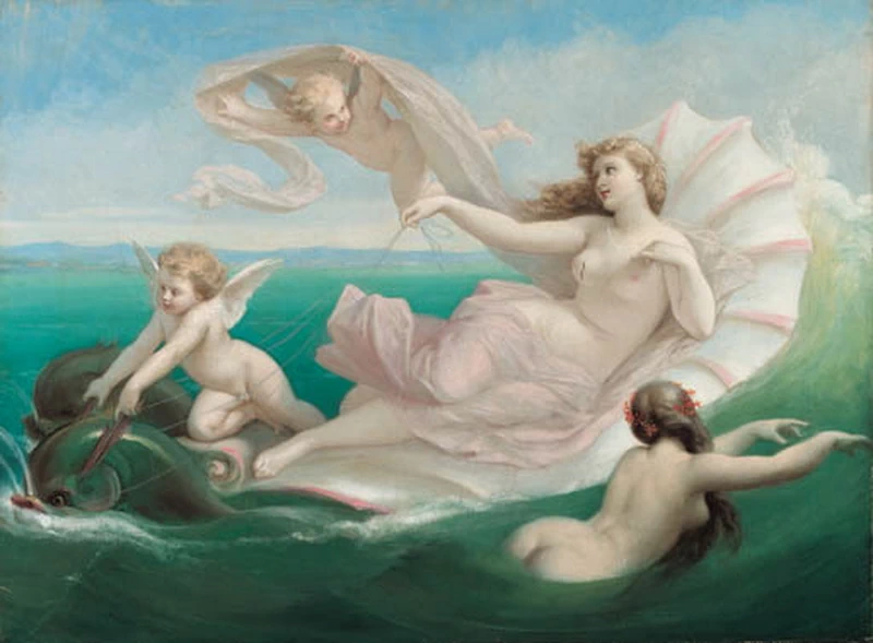 Ninfe marine - 1871